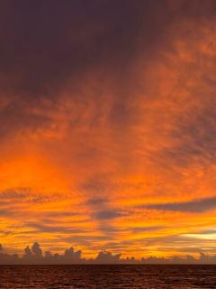 Pious Villa Beach Homestay - Alappuzha - 2