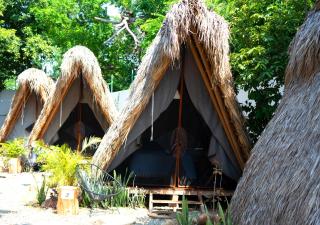 Tribu Tipis & Surf - 0