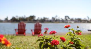 Best Western Plus Bayside Hotel - 7