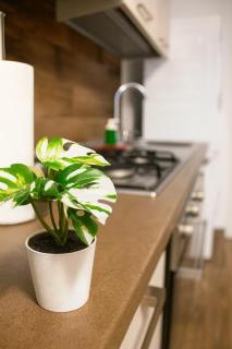 Silvia's sweet home - 1