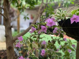 Pirita Beach House - 3