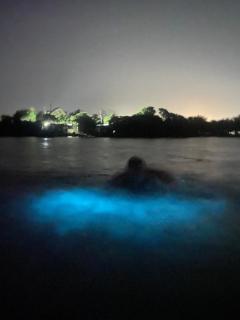 Pirita Beach House - 1