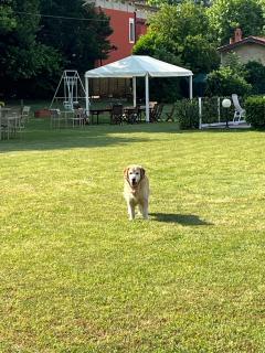 Hotel De La Ville - 1