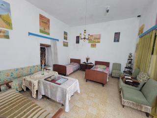 Beit El Asfour - Traditional Home with a Cave - 8