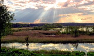 Niron Marina Szalonego Greka - 6