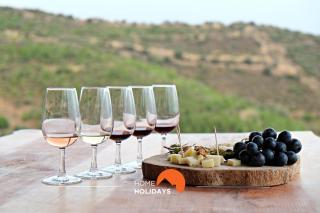 #339 Terras Novas N 4 By Home Holidays - 9