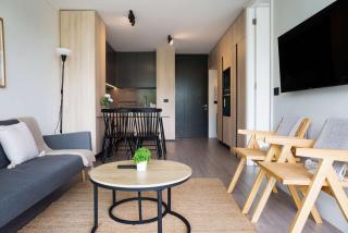 Araucano Park Luxe Pool and Gym 1BR Exec Suite - 6