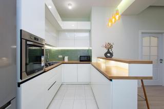 Pushkin street , 2 bedrooms Euro Renovated, Beautiful apartment PU514 - 2