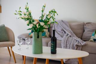 Pushkin street , 2 bedrooms Euro Renovated, Beautiful apartment PU514 - 8