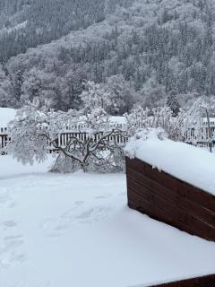 Ferienwohnungen Gehlberg - 8