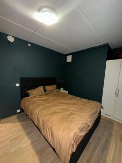 Green oasis, close to the city centre with good bus connections - 1