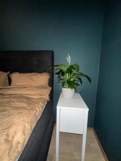 Green oasis, close to the city centre with good bus connections - 3