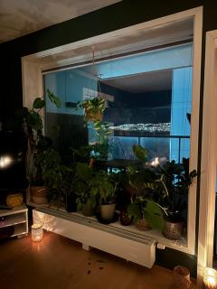 Green oasis, close to the city centre with good bus connections - 8