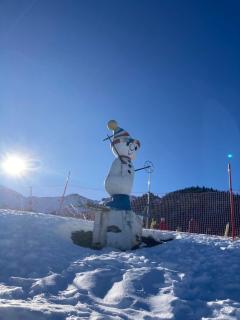 Appartement chalet - Montferrier - 3