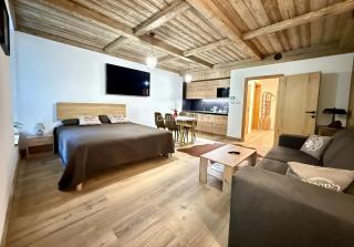 Apartmán Resident Harrachov and Wellness - 7