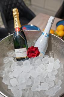 Black Dragon Haven - 7