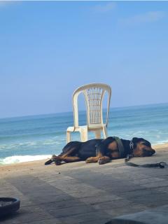 Grotte au bord de mer - 6