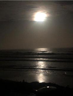 Grotte au bord de mer - 1