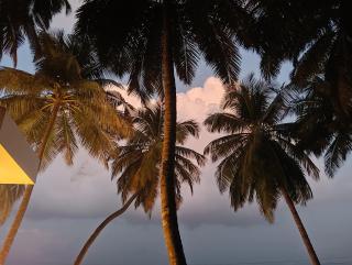 Shanbhag Farm Stay - 3