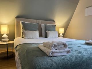 Pistache - Charme naturel et confort en plein Colmar - 8