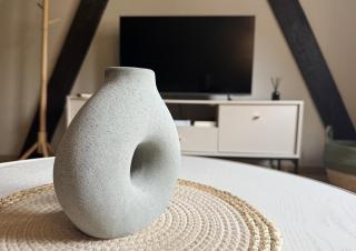 Pistache - Charme naturel et confort en plein Colmar - 4