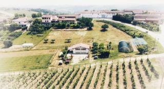 La Cantina Vecchia - 2