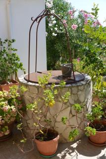 Canto delle Rane - 3
