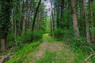 The Minimalist Retreat - 6