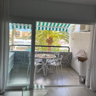 Apartment Palm Tree View - 9