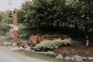 Tremblant Ski In&Out - Lake view - Wood Fireplace - 4