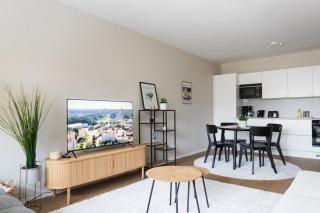 Fully renovated 2-Bedroom apartment in city centrum - 7