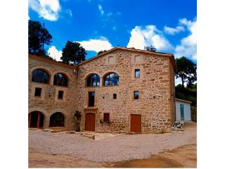 El Molí de Can Feliu - 0