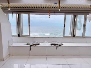 Oceana Marginella - 6