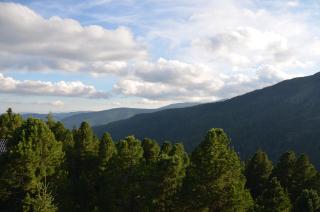 Ferienhaus Ferch - 6