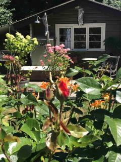 Saratoga beach cabin with hot tub - 1