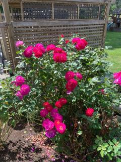 Saratoga beach cabin with hot tub - 2
