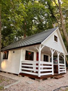 Domek w lesie nad jeziorem Żarnowieckim - 0