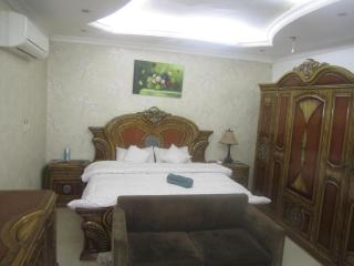 العين الهيلي مصباح بيت 5 - 9