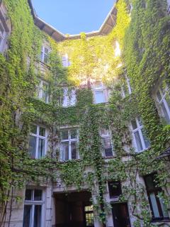 Maki Art Studio Kraków - 6