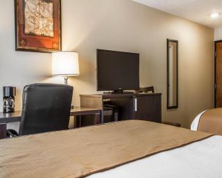 Quality Inn & Suites - 8