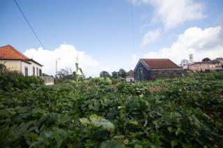 Casa Serafina by Rent-a-key - 8