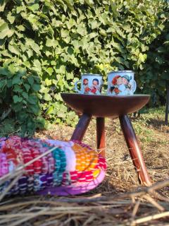 Căsuța de chirpici - 9