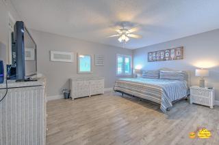 Sand Dollar 509 - 2