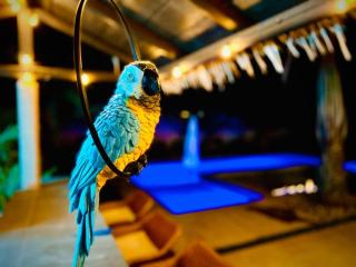 Island Breeze Villa - 0