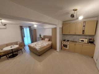 Garsoniera zona centrala Craiova - 7