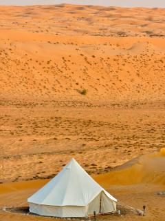 Stars Dunce Camp - 8