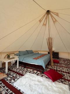 Stars Dunce Camp - 7