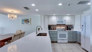 Sand Dollar 506 - 4