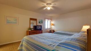 Sand Dollar 506 - 2