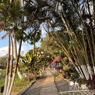 Eco Hotel Lagos de Lusitania - 4